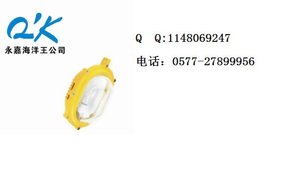 QK- BFC8120内场强光防爆灯